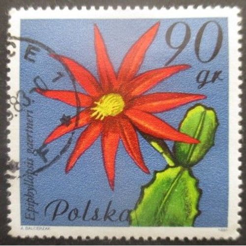 Pologne N°2599 Fleurs De Cactus Oblitéré