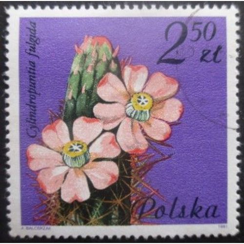 Pologne N°2602 Fleurs De Cactus Oblitéré