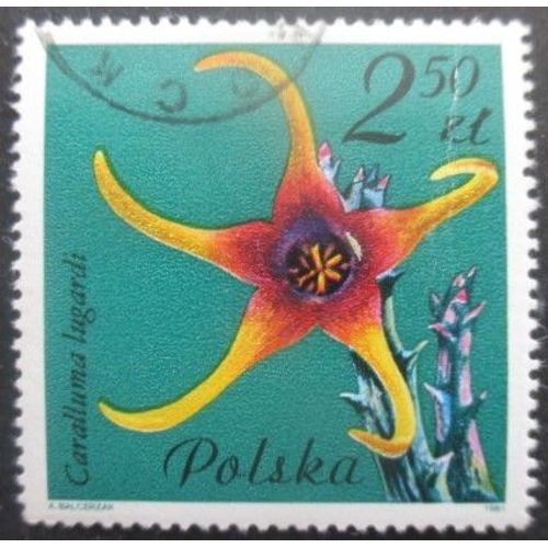 Pologne N°2603 Fleurs De Cactus Oblitéré