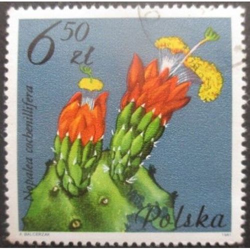 Pologne N°2604 Fleurs De Cactus Oblitéré