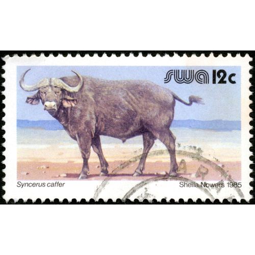 Timbre Oblitéré Swa 12c, Syncerus Caffer, Sheila Nowers 1985