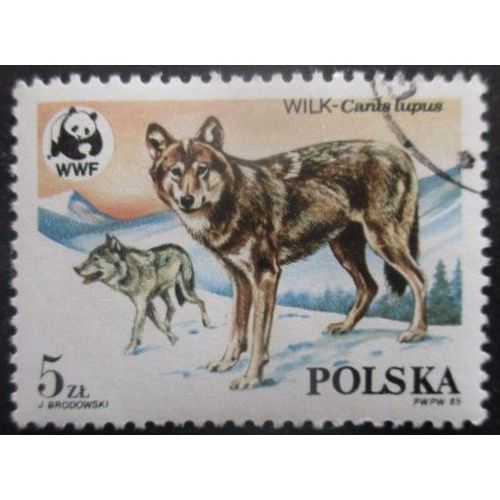 Pologne N°2787 Loup Oblitéré