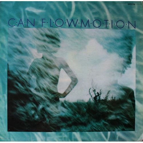 Flow Motion