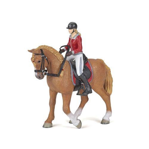 Chevaux, Poulains Et Poneys Cheval De Promenade Et Sa Cavalière