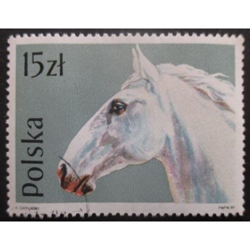 Pologne N°2997 Cheval Oblitéré