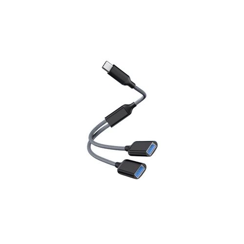 Adaptateur Type-C vers double USB 2.0 Le noir
