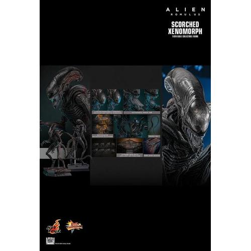 Figurine Hot Toys Mms784 - Alien : Romulus - Scorched Xenomorph