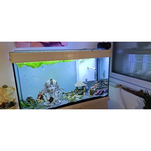 Aquarium