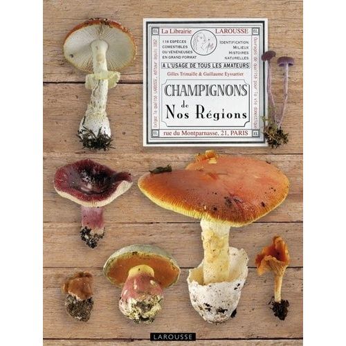 Champignons De Nos Régions