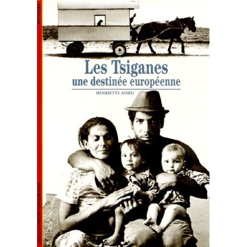 Les Tsiganes - Une Destinee Europeenne