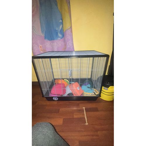 Vend Cage Rongeur Savic Zeno Xl