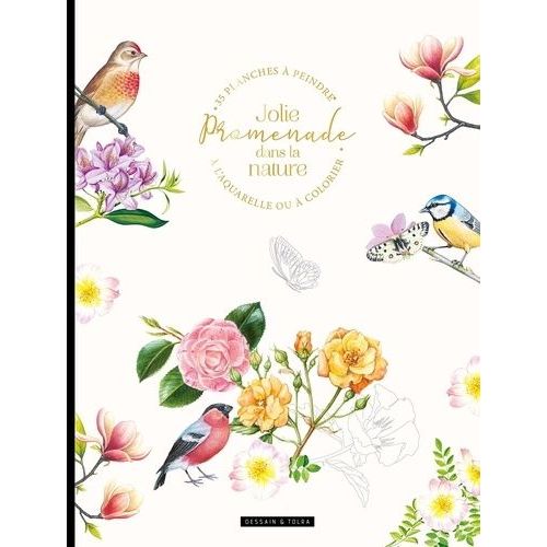 Jolie Promenade Dans La Nature - 35 Planches À Peindre À L'aquarelle Ou À Colorier