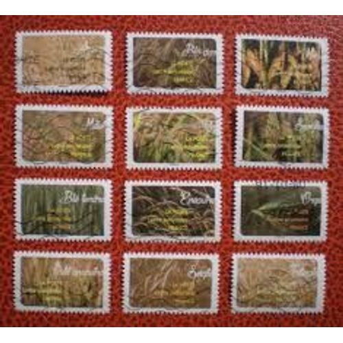 Céréales Nourricières : Céréales Ou Plantes À Grains Série Complète Année 2017 Autoadhésifs N° 1442 1443 1444 1445 1446 1447 1448 1449 1450 1451 1452 1453 Yvert Et Tellier