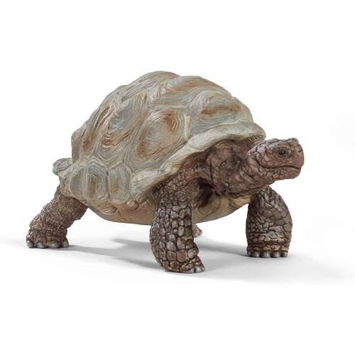 Wild Life Figurine De Tortue Terrestre Géante - Figurine D'animal Sauvage - Cadeau Garçons Et Filles Jouet 3 Ans Et Plus