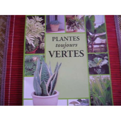 Plantes Toujours Vertes