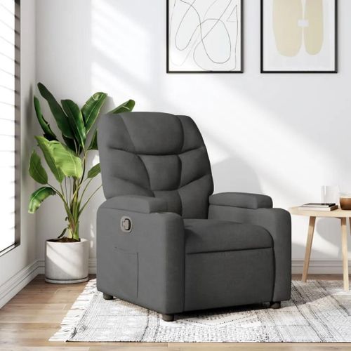 Prolenta Premium - Fauteuil Inclinable Gris Foncé Tissu