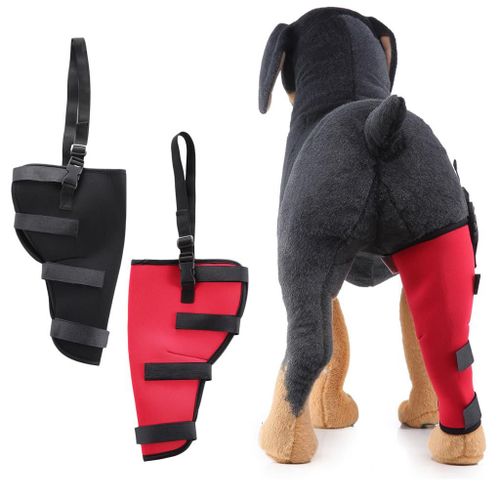 2pcs Attelle pour Articulation Patte Arrière pour Chien Bandage Thérapeutique de Hanche pour