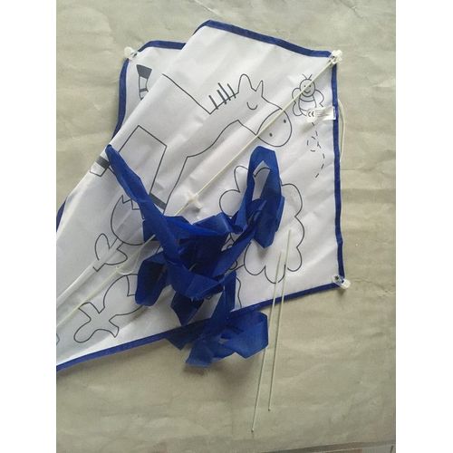 3 Vrais Cerfs-Volants  Colorier Et  Construire  Offrir Aux Copains  Ton Goter D'anniversaire