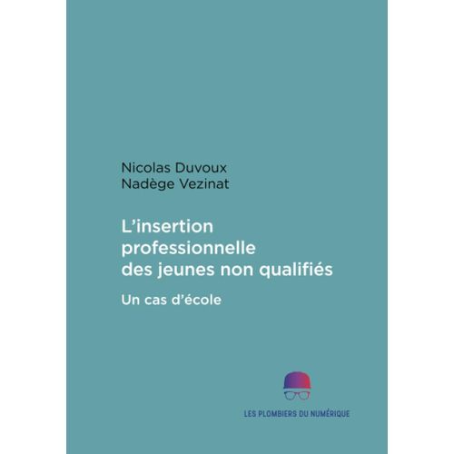 L'insertion Professionnelle Des Jeunes Non-Qualifiés - Un Cas D'école