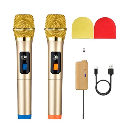 Heikuding-Système de micro dynamique sans fil UHF pour touristes,récepteur aste,karaoké,chant,DJ- Golden 2 Mics