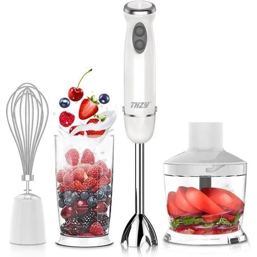 Mixeur Plongeant, THZY 4 en 1 Mixeur Plongeur Inox avec 600W 6 Vitesses Avec TURBO pour Blender à Smoothie et Mixeur Soupe Sans BPA.