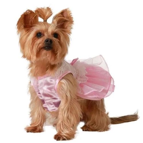 Angel Tomas, Sa. Déguisement De Princesse Rose. S.