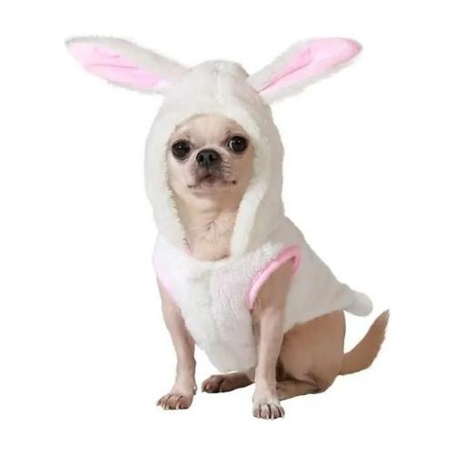 Déguisement De Lapin Blanc Pour Chien