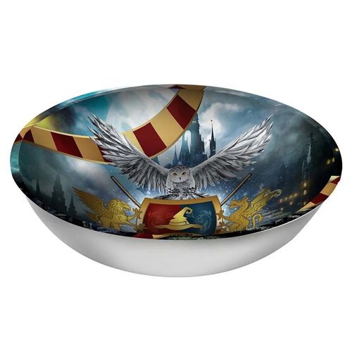 Bol Réutilisable Magicien 27x9cm Multicolore
