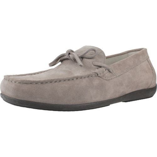 Geox U Ascanio A Colour Gris