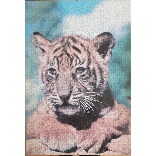 Puzzle Tigre 504 Pièces Dimension 34x50 Cm