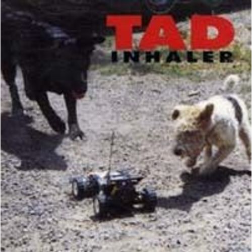 Inhaler
