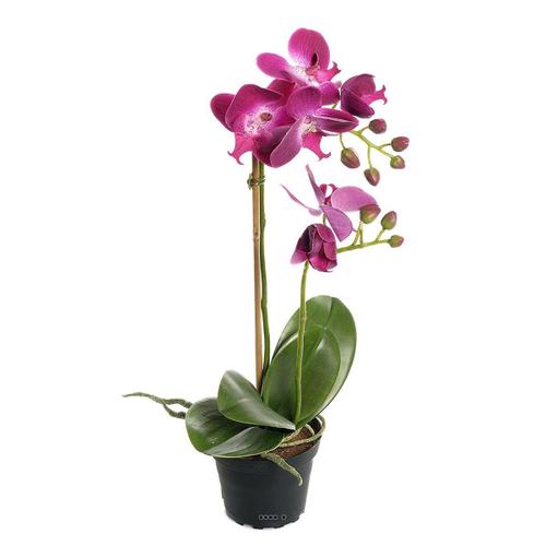 Orchidee Artificielle 2 Hampes En Pot H 40 Cm Touché Réel Erica