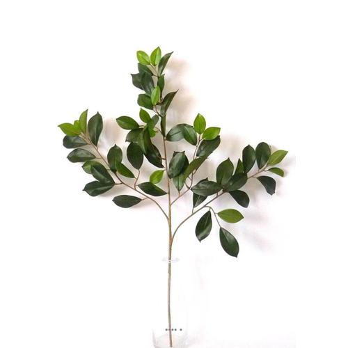 Branche De Ficus Artifiel Retusa H 65 Cm