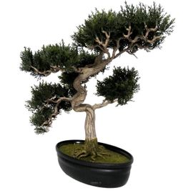 Bonsai Artificiel Cedre H 43 X 40 Cm 318 Feuilles