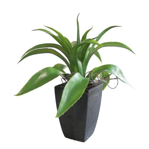 Agave Succulente Plante Artificielle Cactée En Pot H 29 Cm Vert Type A