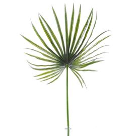 Feuille Palmier Chamaerops Artificielle H 130 Cm D 55 Cm Pe Extérieur