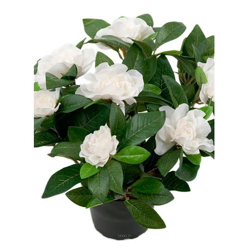 Gardenia Plante fleurie artificielle 8 fleurs H 25 cm en pot