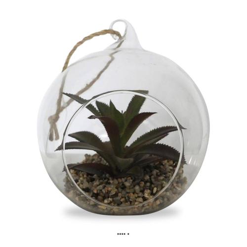 Plante Grasse Factice Succulente En Bulle De Verre Avec Corde Type C