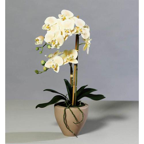 Orchidee Factice 2 Hampes Pot Ceramique H57cm Touché Réel Vanille
