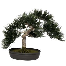 Bonsai Artificiel Angel Pinus H 44 Cm Finition Mousse