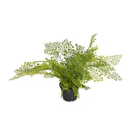 2pcs Plante suspendue artificielle, 95cm Plantes artificielles