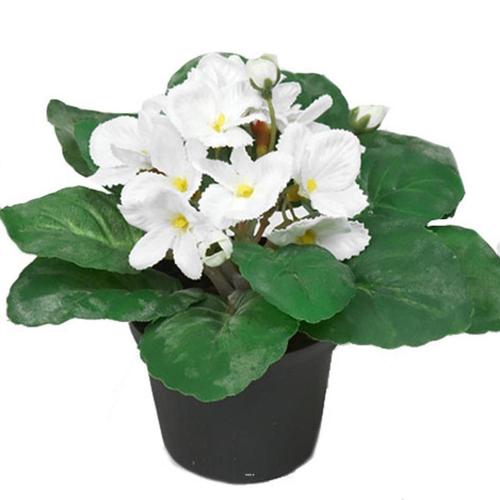 Saint Paulia Artificiel En Pot H 16 Cm Très Fleuri Crème