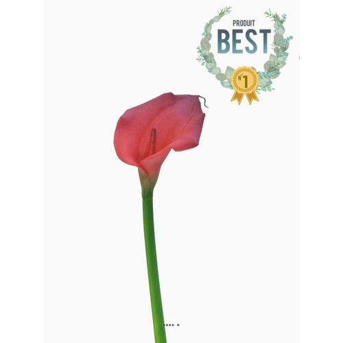 Arum Calla Artificiel, Fleur Toucher Réel, H 55 Cm, Rouge - Best