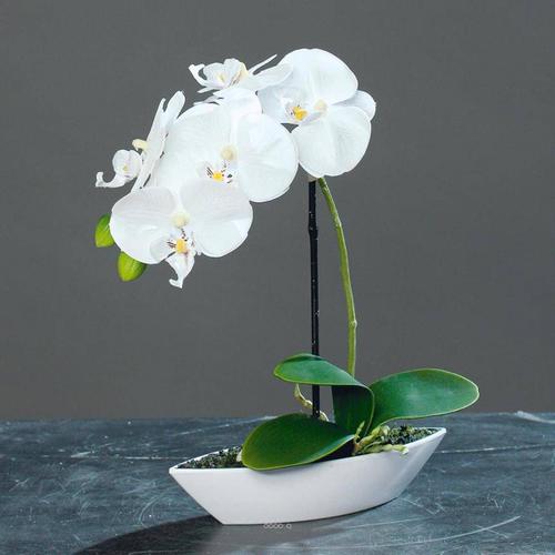 Orchidée Factice Tissu Gaufré Pot Résine Blanc Ovale H28cm Crème