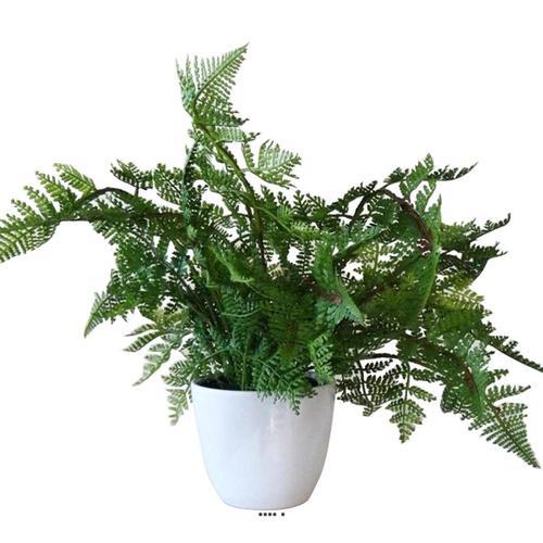 Fougère Des Bois Artificielle En Pot Plastique H 38 Cm Top Produit