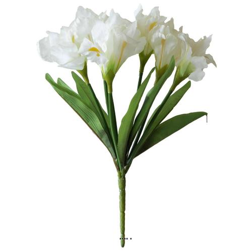 Bouquet D'iris Artificiels 7 Fleurs Et 7 Feuilles Hauteur 28 Cm Superbe Crème