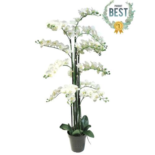 Orchidée Phalaenopsis Factice En Pot Qualité Déco H140cm Crème - Best