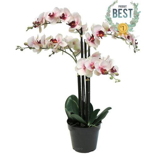 Orchidée Phalaenopsis Factice En Pot Top Qualité H60cm Rose-Crème-Best