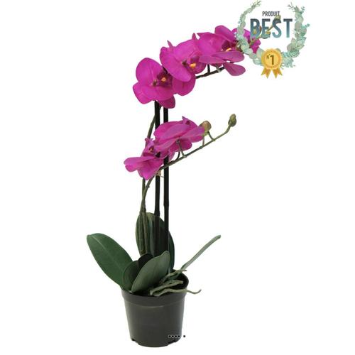 Orchidée Phalaenopsis Factice Top Qualité & Pot H50cm Rose Fushia-Best