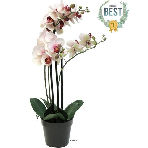 Orchidée Phalaenopsis Faux 3 Hampes H60 Cm Top Qualité Rose-Crème Best
